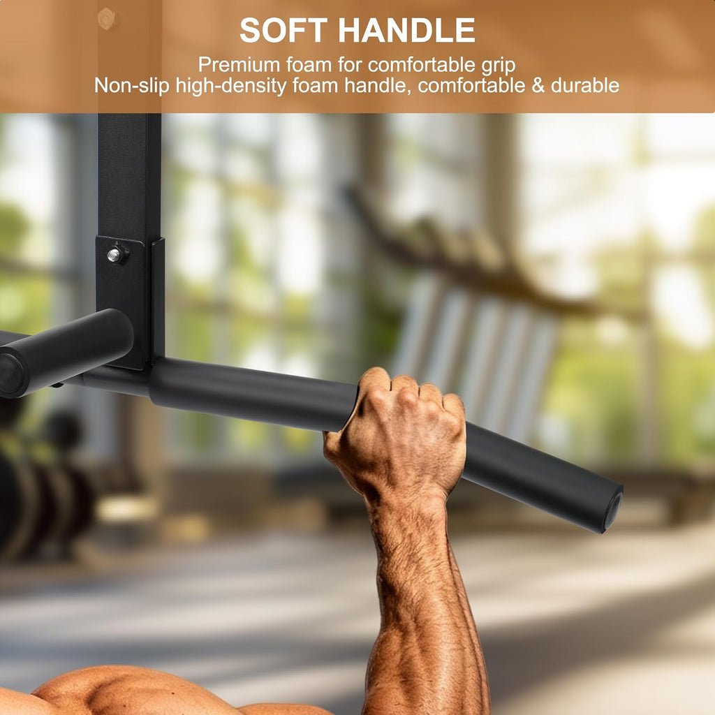 Wall Mount Pull Up Bar